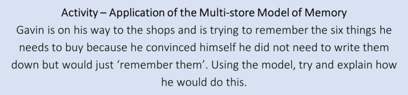 Application of the Multi-store Model of Memory Application of the Multi-store Model of Memory