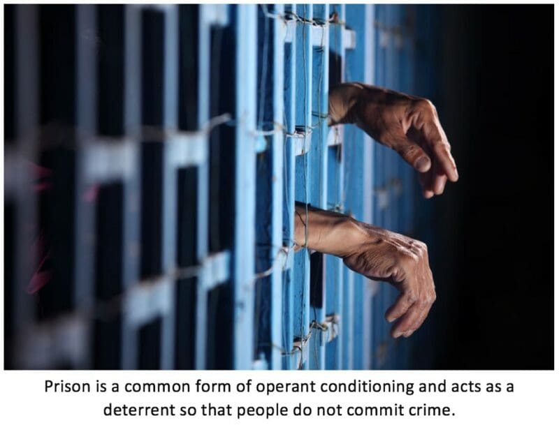 Operant conditioning Operant conditioning