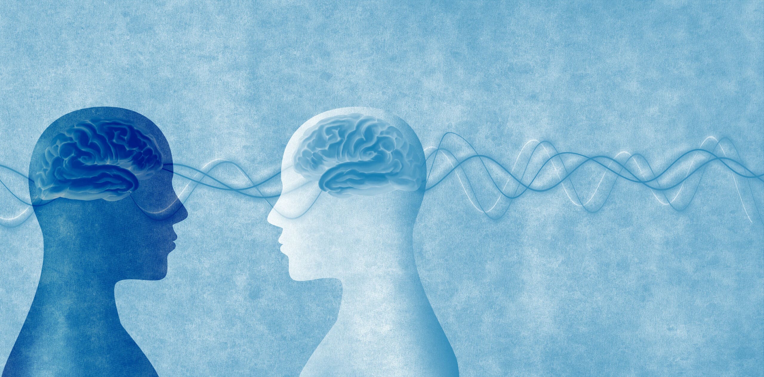 Constructivist theory of perception