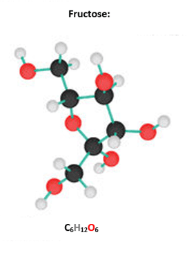 Fructose Fructose