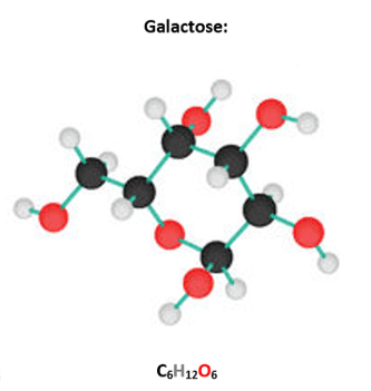Galactose Galactose