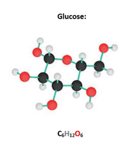 Glucose Glucose