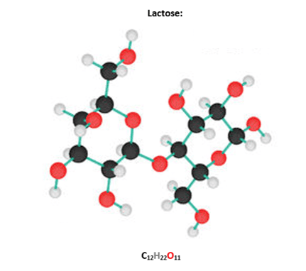 Lactose Lactose