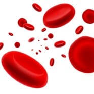 Red blood cells