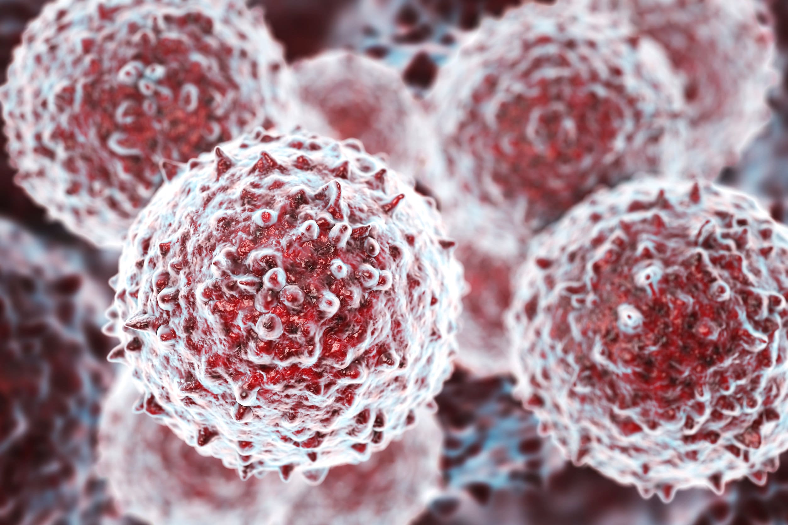 Stem cells