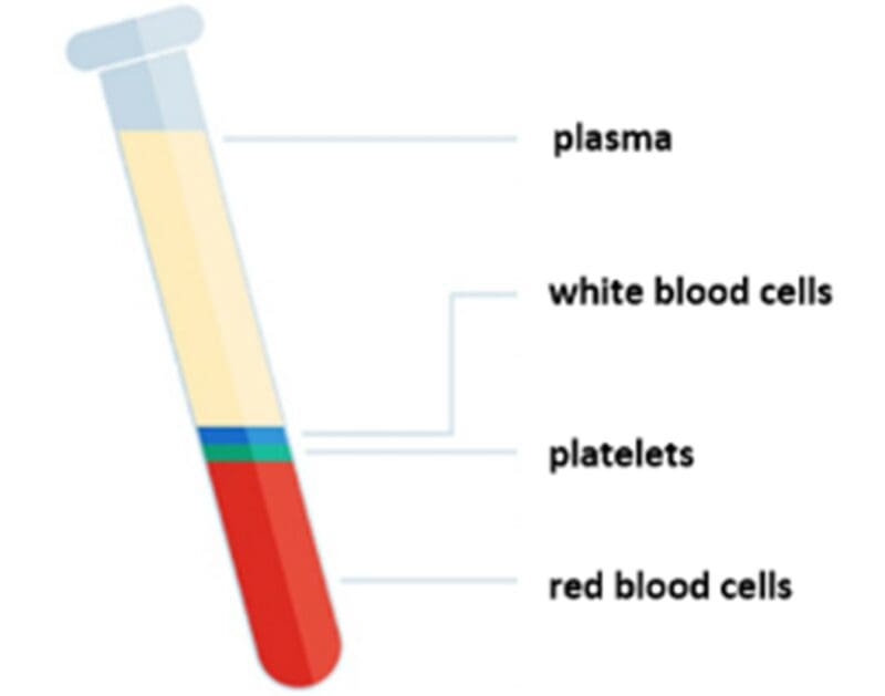 blood and their approximate measurements
