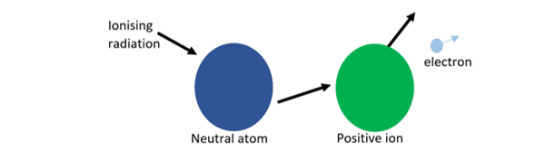 Positively charged Ions Positively charged Ions