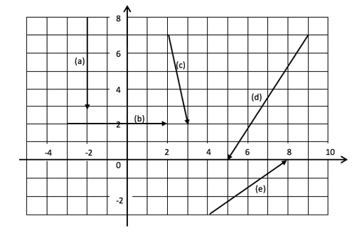 Vector grid Vector grid