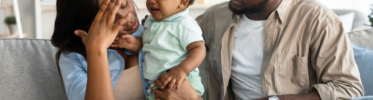 The Effect of Postnatal Depression on Others The Effect of Postnatal Depression on Others