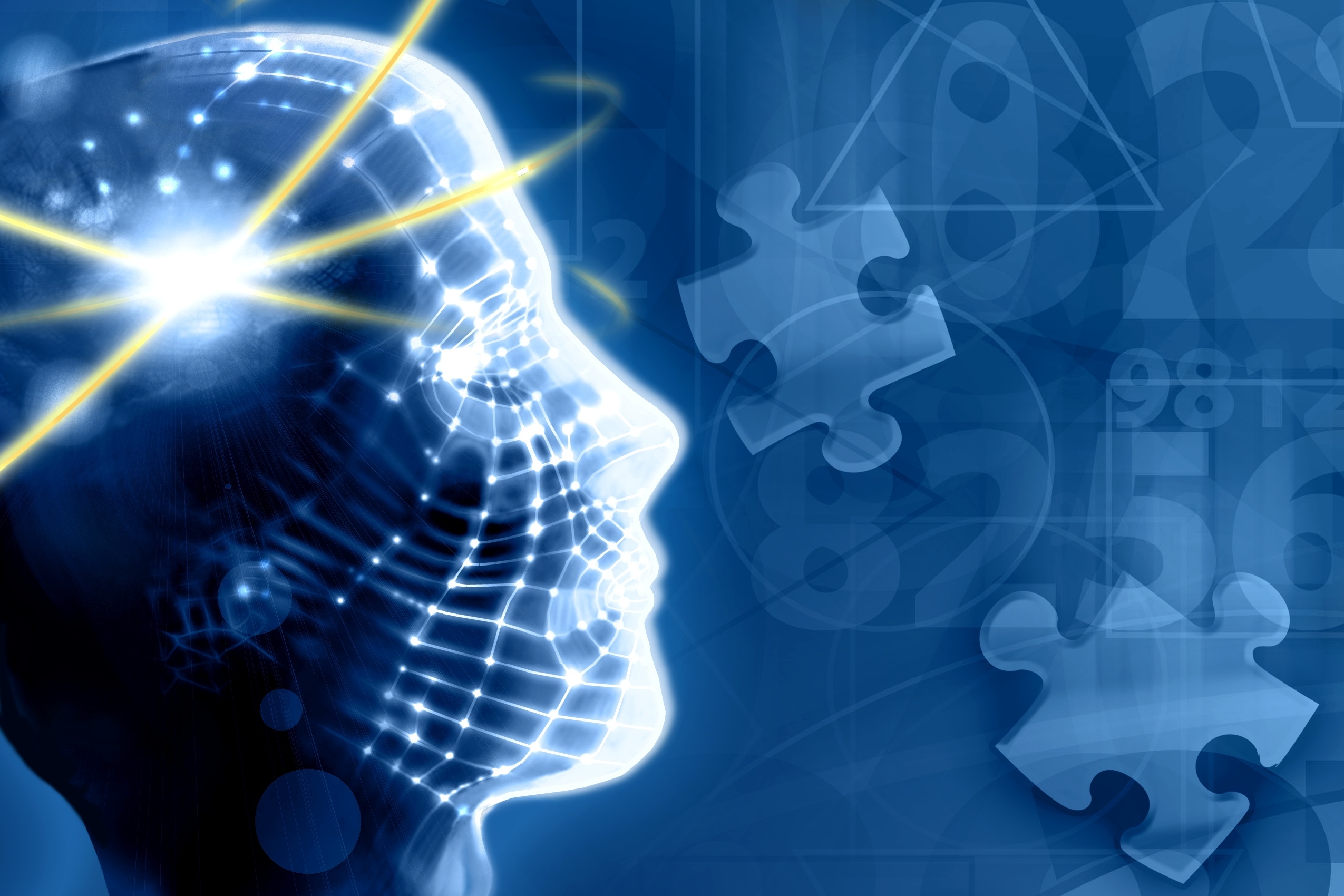 Processes of Memory Processes of Memory