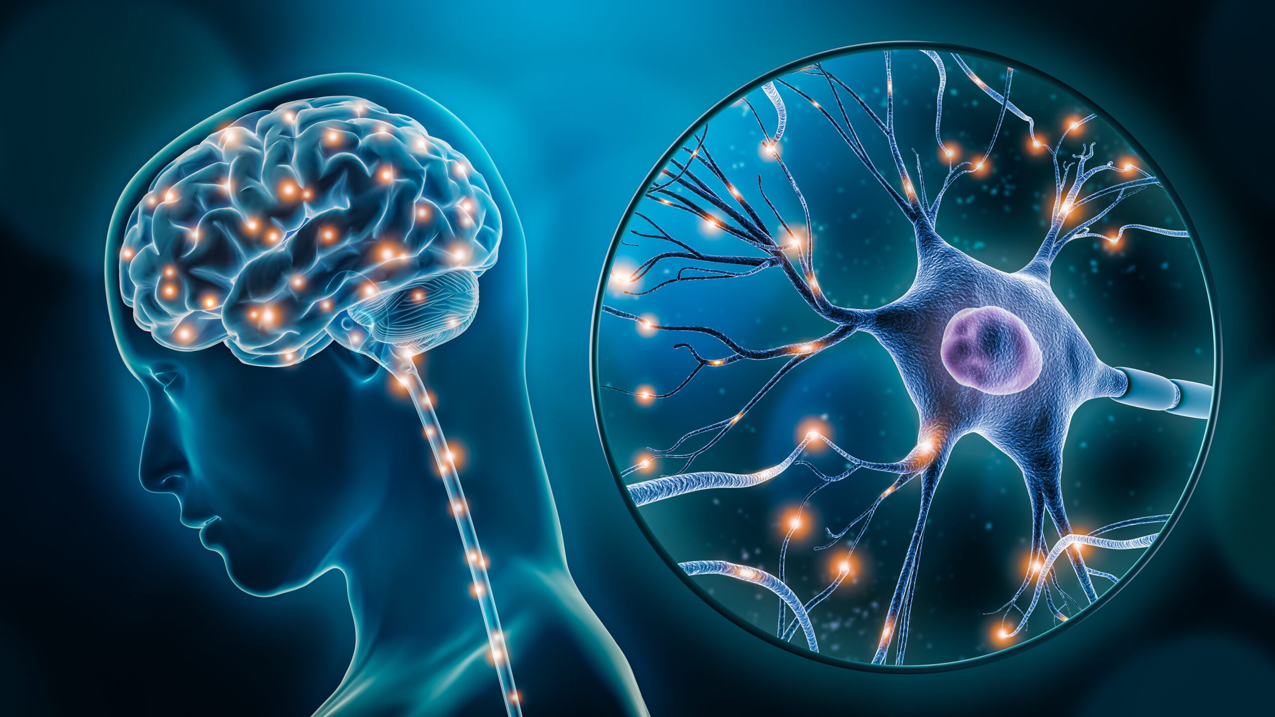 Types of Long-Term Memory Types of Long-Term Memory